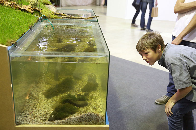 oekofoire2014_day3_5711