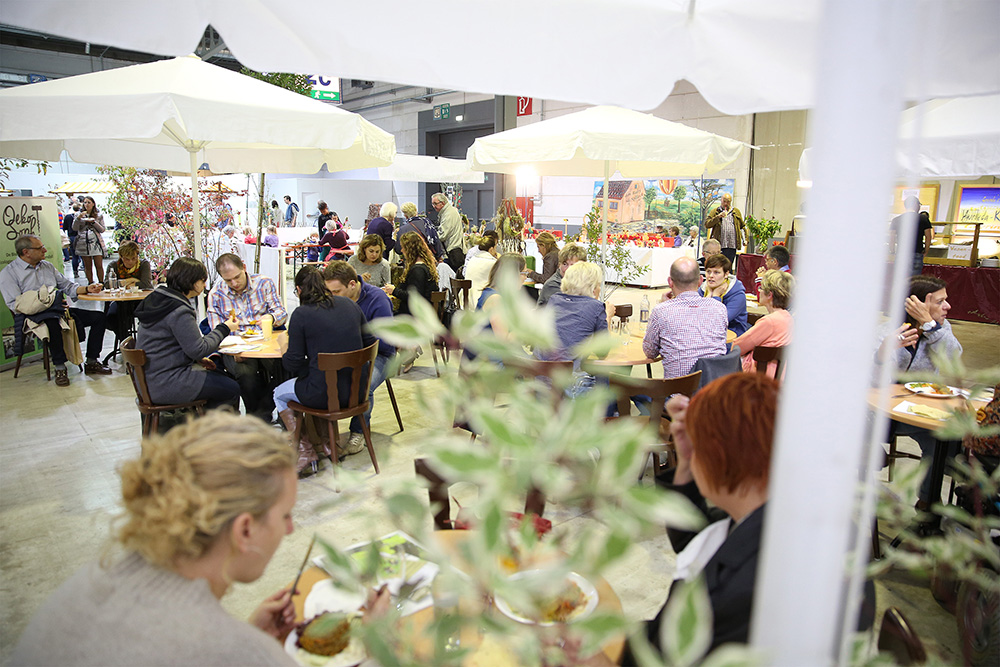 oekofoire_3_2015_8623