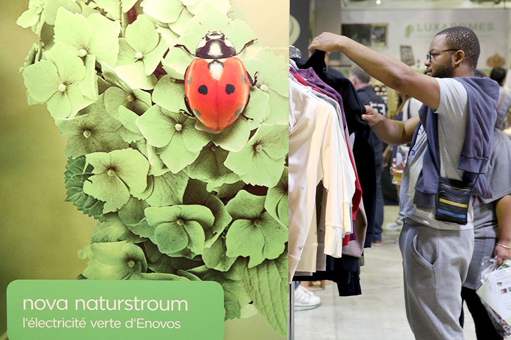 oekofoire_3_2015_8729