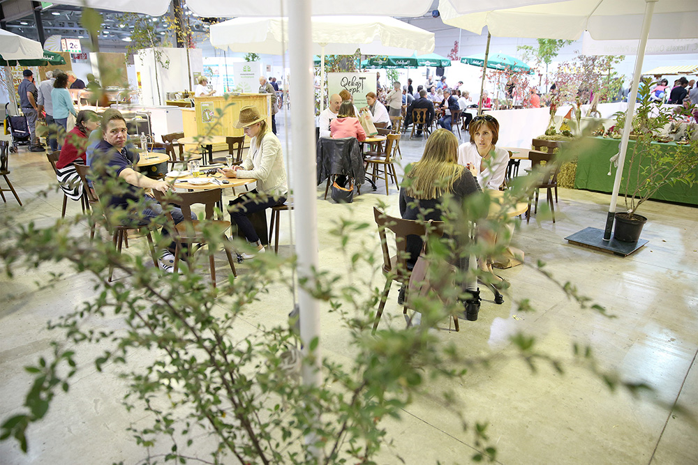 oekofoire_3_2015_8900