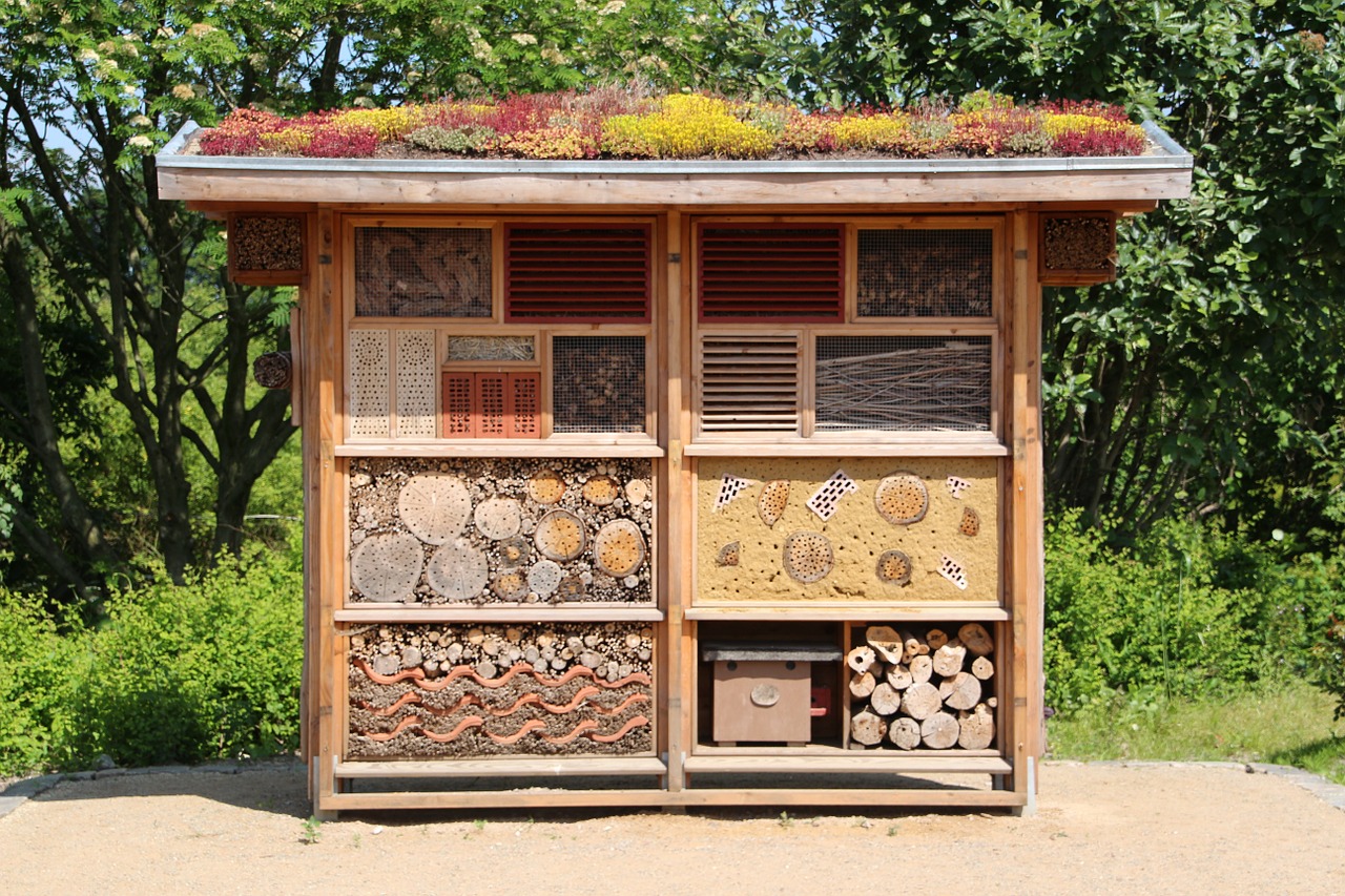 insect-house-598354_1280