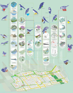 c-Animal-Aided-Design