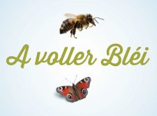 Meco_soliloqy_a voller Blei