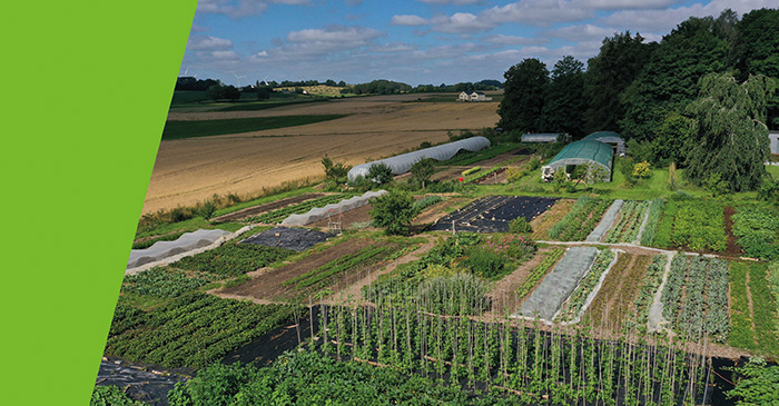 Kuckt eran an e Lëtzebuerger Betrib dee selwer Geméis ubaut: Leiert de „Krautgaart“kënnen a loosst Iech inspiréieren !