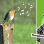 Einladung zur Vogelstimmen-Exkursion – Das Konzert der Natur in der Stadt erleben!