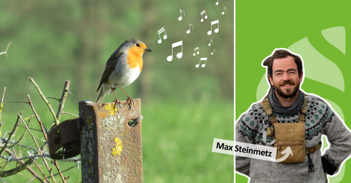 Einladung zur Vogelstimmen-Exkursion – Das Konzert der Natur in der Stadt erleben!