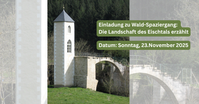 Einladung zum Wald-Spaziergang: Die Landschaft des Eischtals erzählt