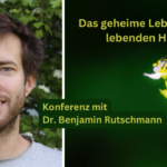 Einladung zur Konferenz: Das geheime Leben der wild lebenden Honigbienen