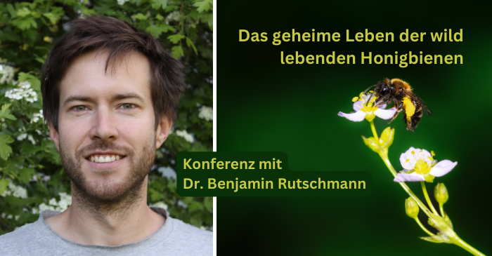 Einladung zur Konferenz: Das geheime Leben der wild lebenden Honigbienen