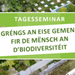 Tagesseminar: Méi Gréngs an eise Gemengen – 24. April 2026 – Fir eng méi kohärent Gréngplanung – vun der Visioun zur Ëmsetzung