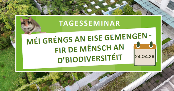 Tagesseminar: Méi Gréngs an eise Gemengen – 24. April 2026 – Fir eng méi kohärent Gréngplanung – vun der Visioun zur Ëmsetzung