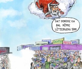 12-dezember