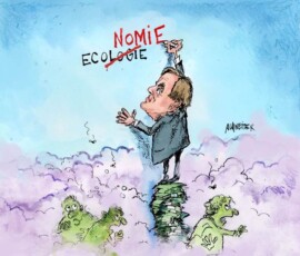 economie-anstatt-ecologie