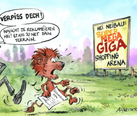 flaechennutzungsgesetz