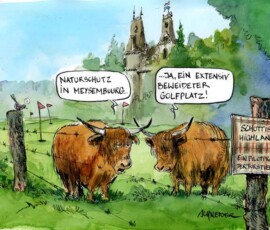 highlander_meeseburg