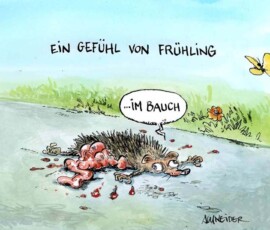 igel-im-fruehling