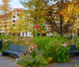 Park area with benches and flowers in a city neighborhood during autumn afternoon